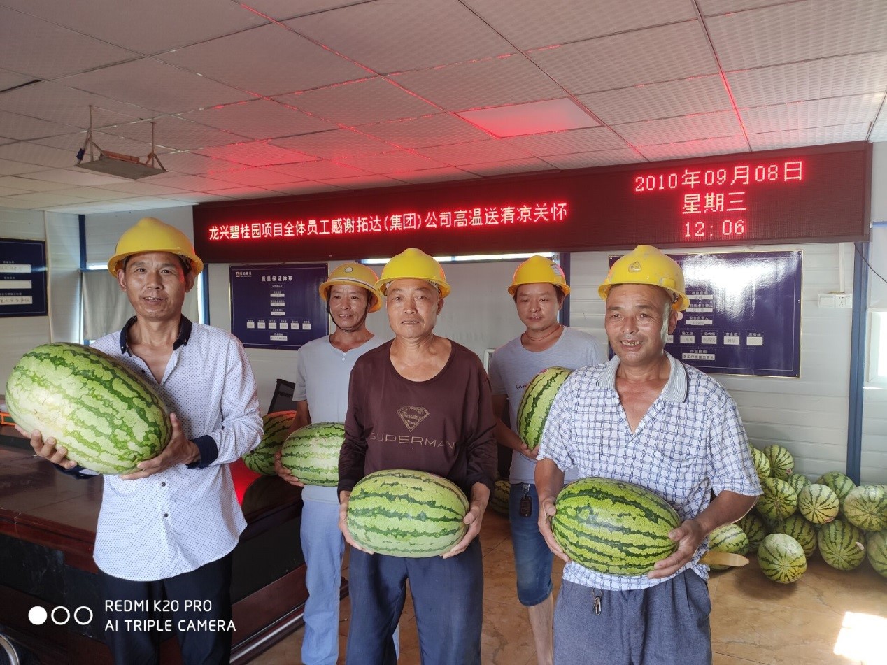 西瓜1.jpg